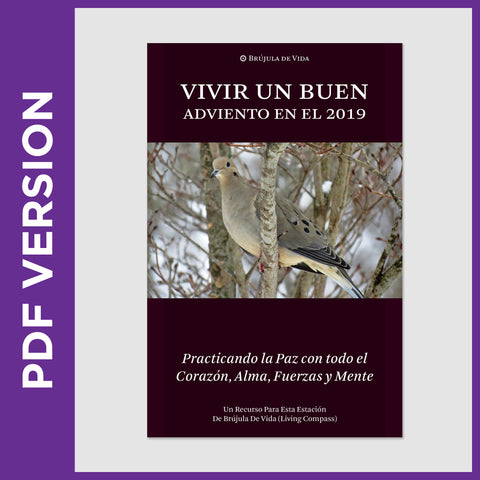 Vivir un buen Adviento en el 2019 (8.5x11 PDF File)